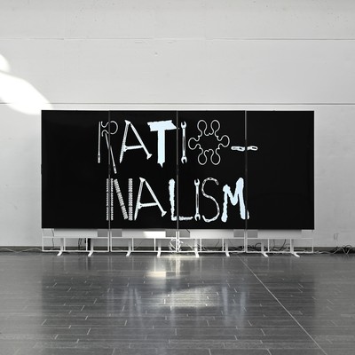 Do Not Carry Your Flag Too Low, Trojans Installation. Photo : Solène Hoffmann. 
