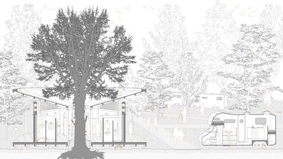 Perspective Section