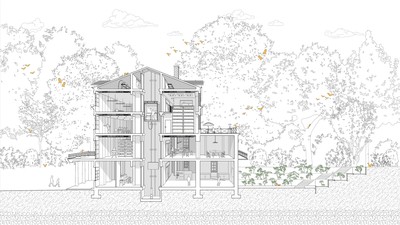 Perspective section