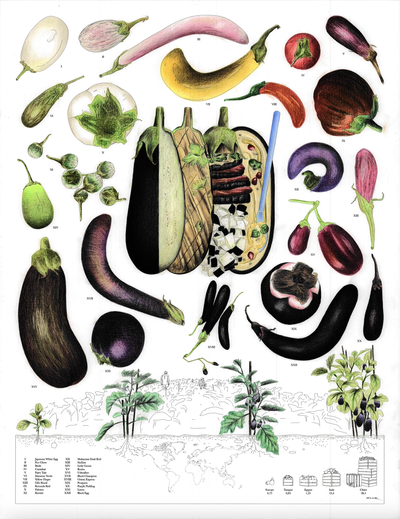 Le Grand Mezze - Aubergine