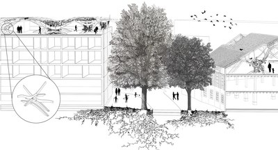 Perspective Section