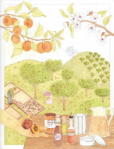 Le Grand Mezze - Abricot