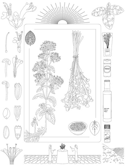 Le Grand Mezze - Origan