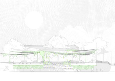 Perspective Section