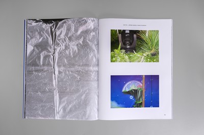 ACCATTONE, Issue 8