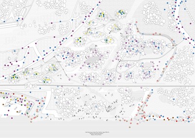 Safe Shared Space Where Toxic Soil Lives Again With Us